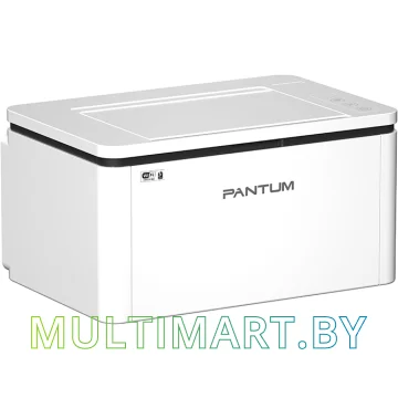 Принтер Pantum BP2300W картинка 3